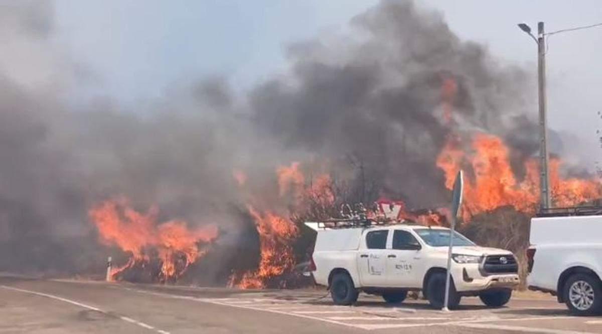 Medios del operativo, en el enfrentamiento directo con las llamas del incendio de Fermoselle.