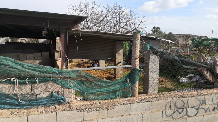 Celebran que los caballos de las galeras abandonen los «establos de los horrores»