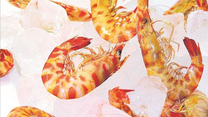 Vinaròs potencia su tradición marinera con las Jornadas del Langostino