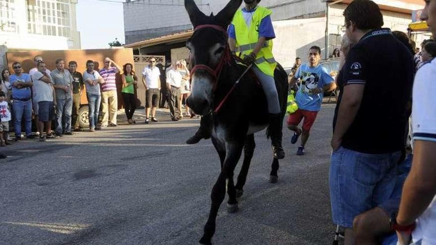 Un momento de la carreira de burras del pasado año. // Noé Parga