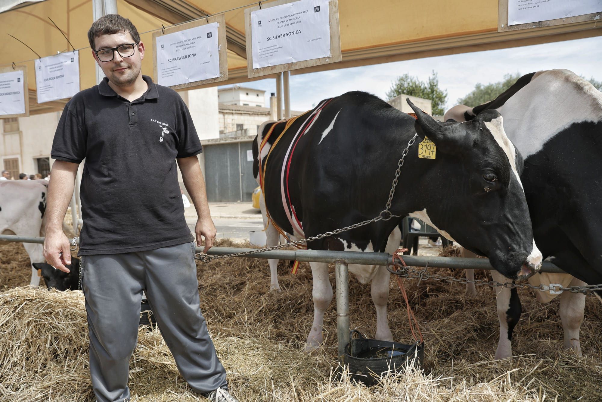 FOTOS | Las ferias de este domingo en distintos pueblos de Mallorca, en imágenes