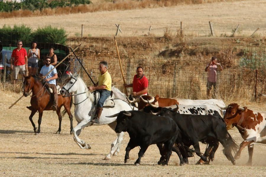 Fiestas en Zamora: Espantes en Fuentelapeña