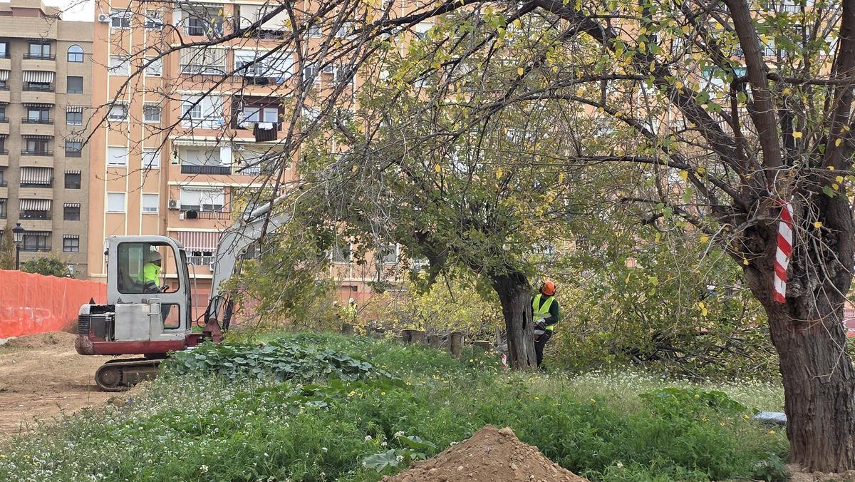 Las máquinas han empezado con el desbroce