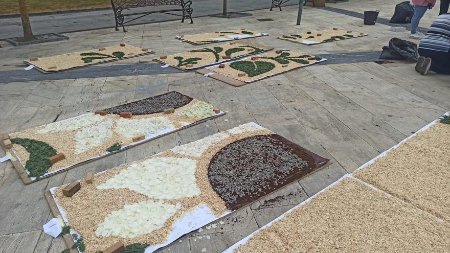 Así se preparan las impresionantes alfombras florales para celebrar el Corpus de Pravia