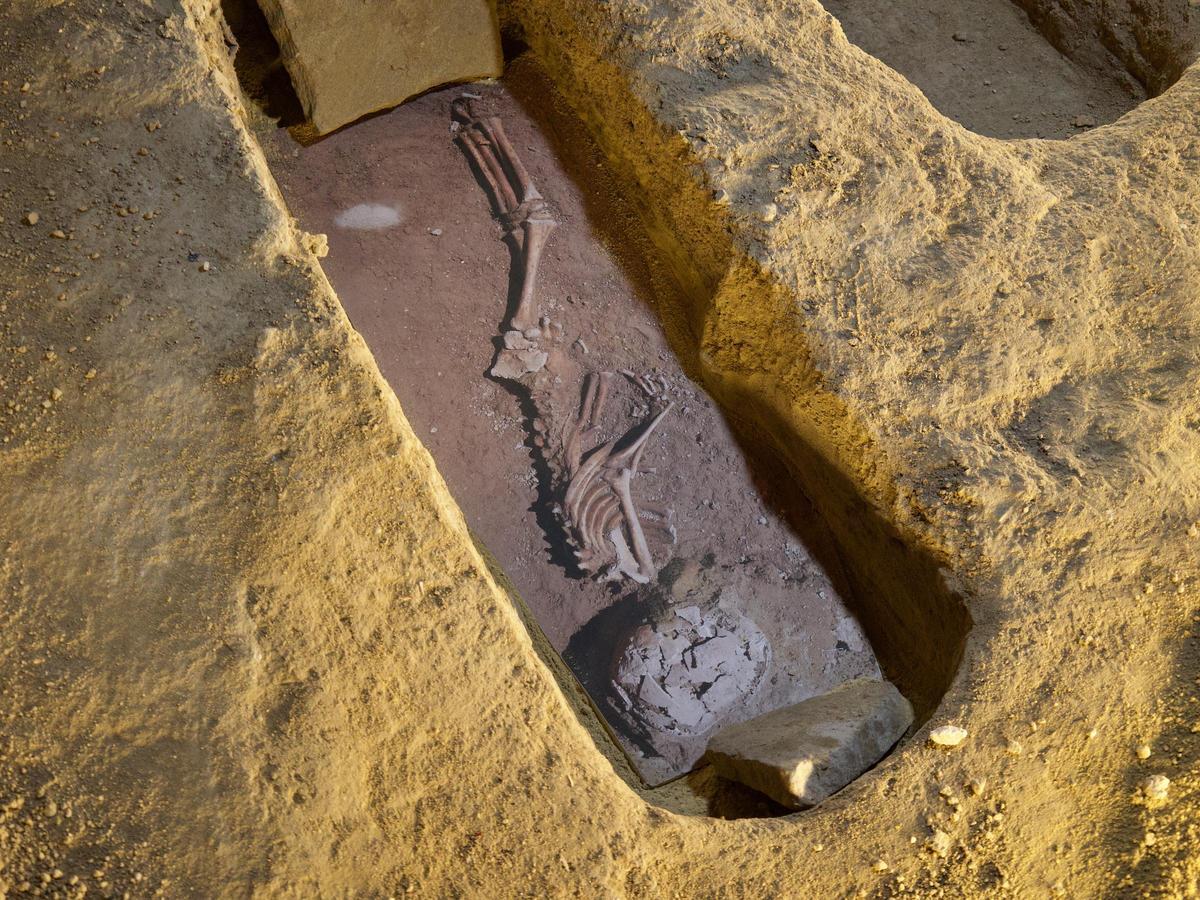 Recreación de los huesos encontrados en una de las tumbas islámicas.