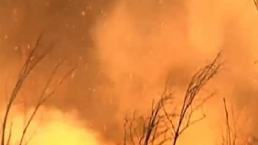 Las llamas de 15 incendios arrasan Chile