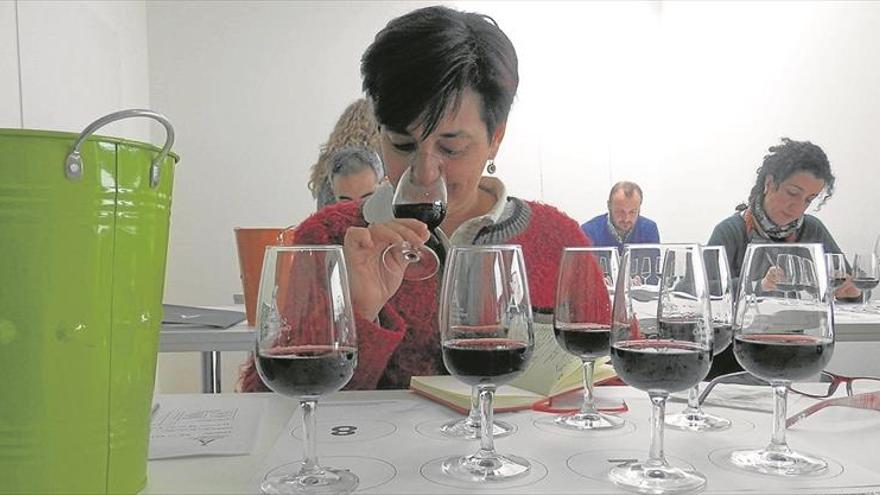 El Museo de las Ciencias del Vino de Almendralejo busca sus referencias de este año