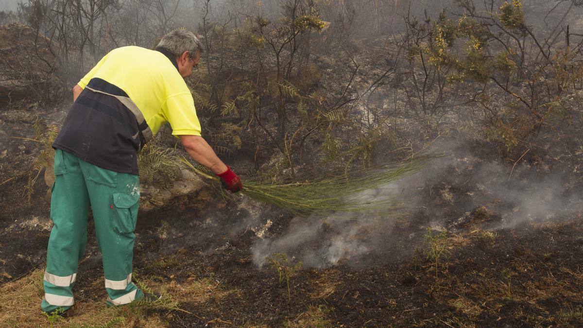 Un rayo provoca un incendio forestal en Bayona