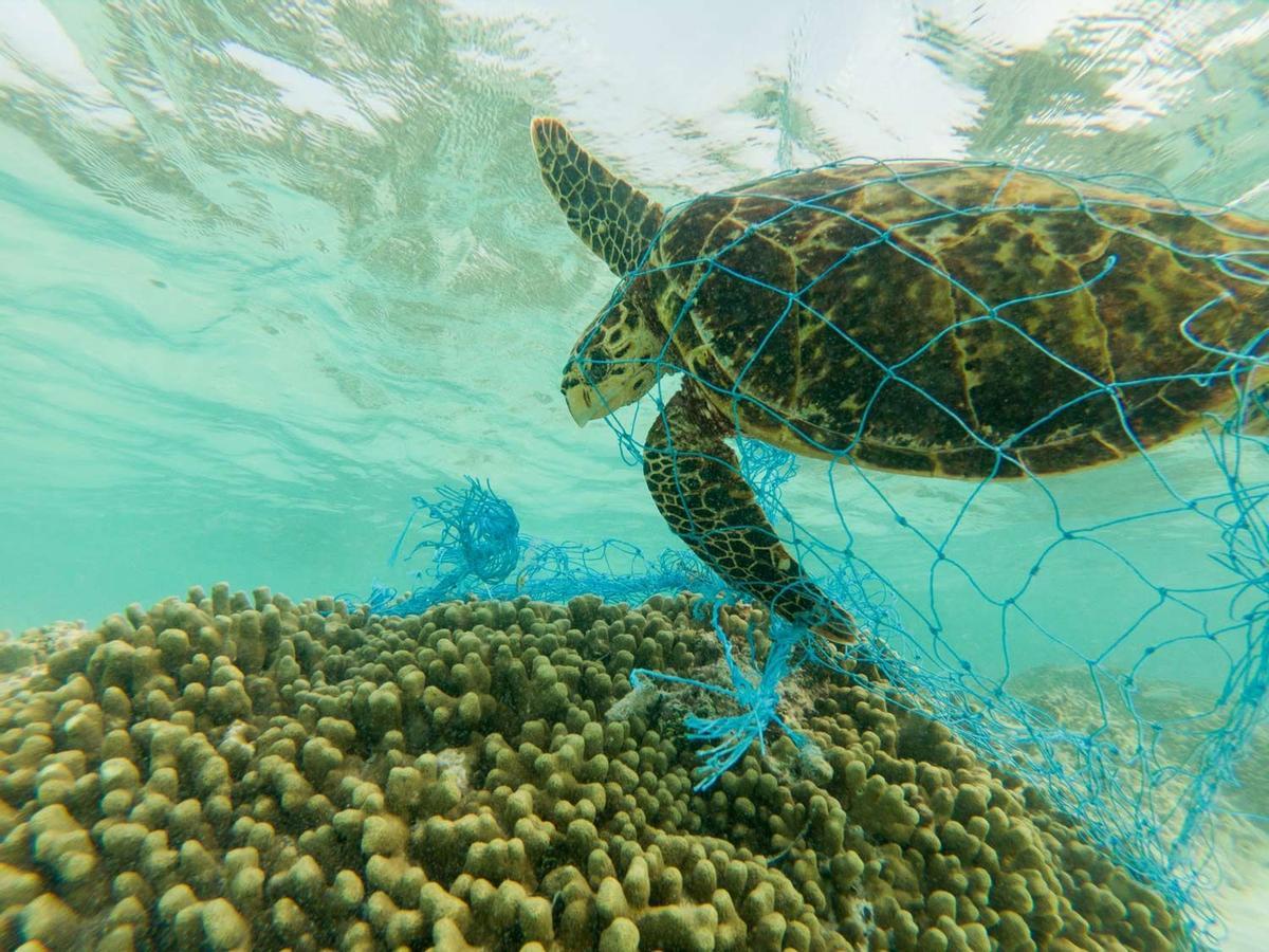 Día Mundial de los Océanos