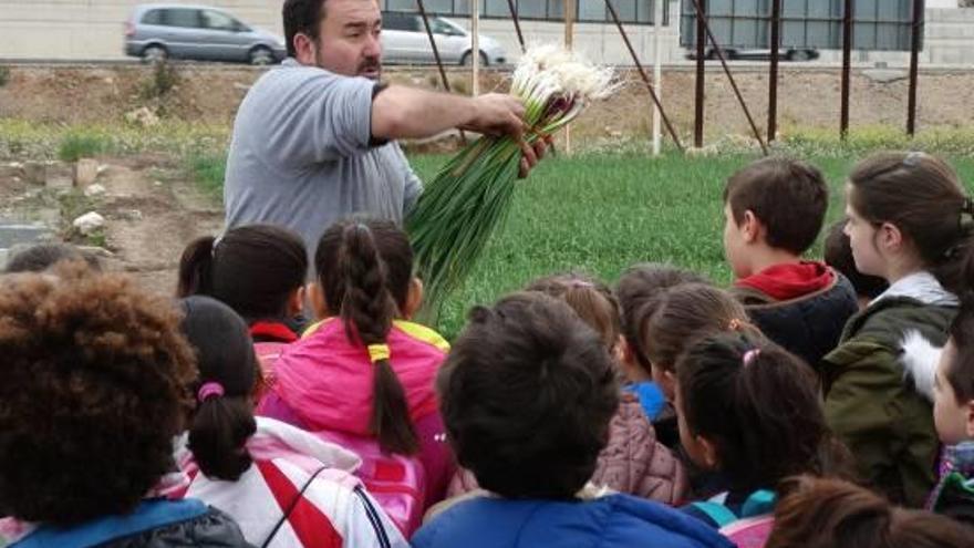 Visita a los campos de «all tendre»