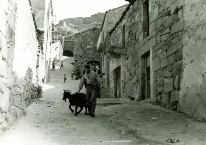 Un vistazo al Fermoselle del siglo XX