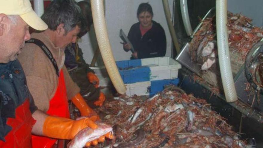 Tripulantes de un pesquero seleccionan las capturas a bordo. / l. o.