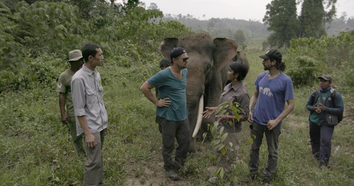 INDONESIA- Leonardo with Farwiza Farhan and Rudi Putra in the Leuser Ecosystem.