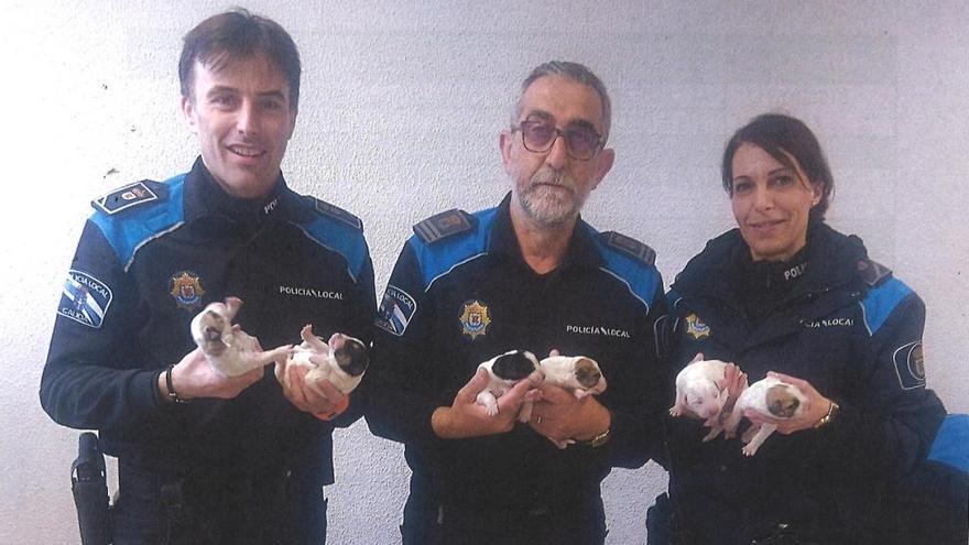 Los agentes de la Policía Local con los cachorros encontrados en Cesantes. / FdV