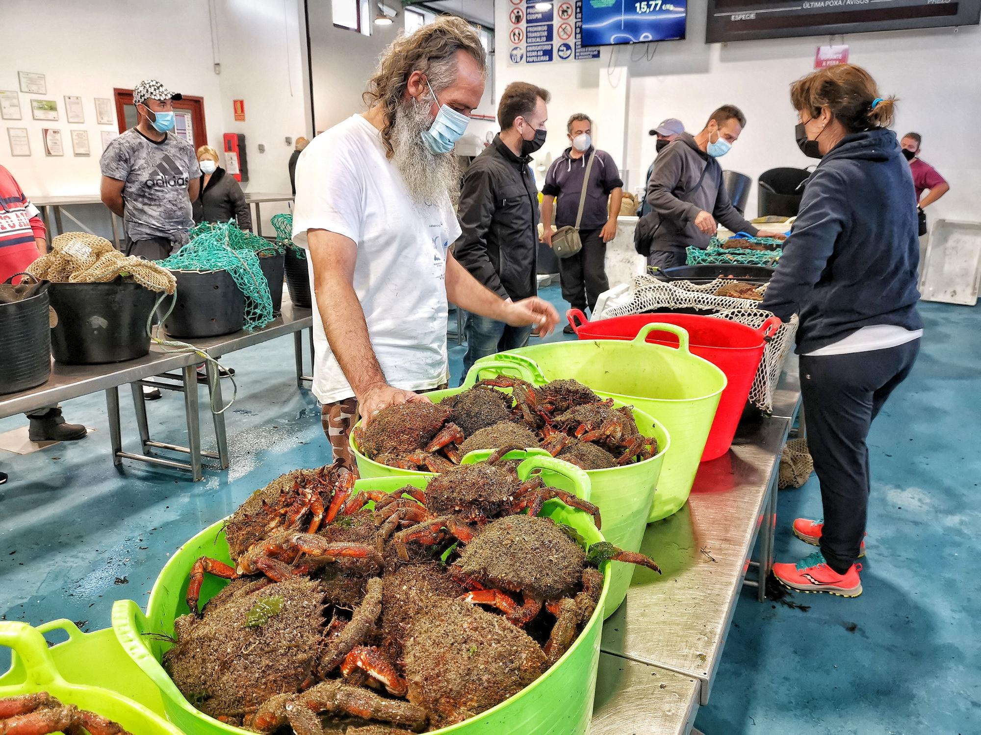 La campaña del "marisco rey", la centolla, arranca en Cangas y Bueu