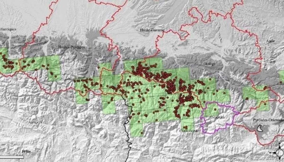 El mapa de moviments dels ossos