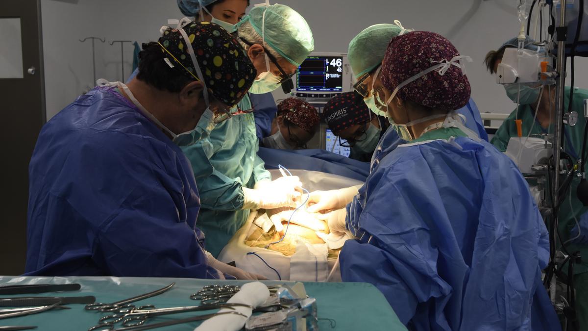 Un grupo de cirujanos trabaja en un trasplante.
