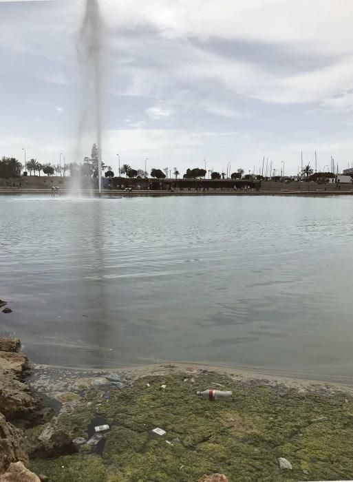 Desperfectos y abandono en las murallas y el Parc de la Mar