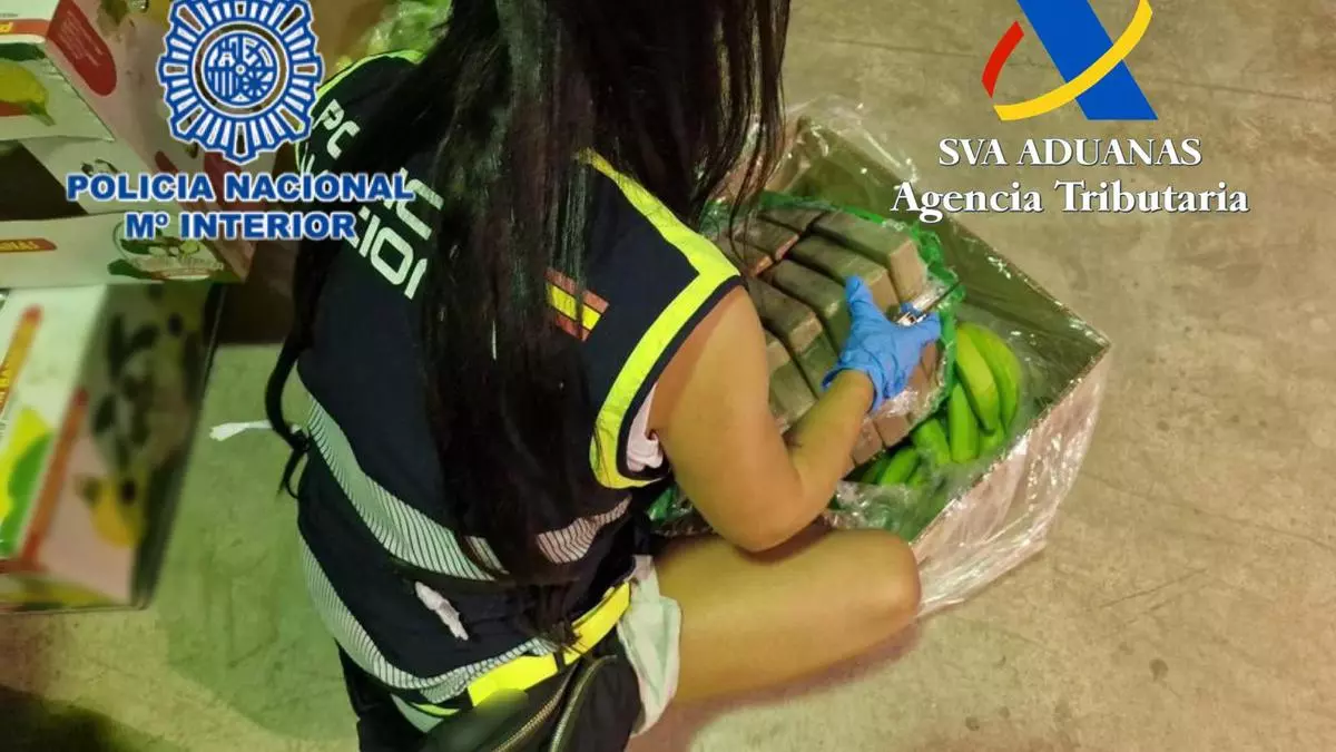 Libertad con fianza para un detenido por un alijo de 4.316 kilos de cocaína, el mayor incautado en Alicante