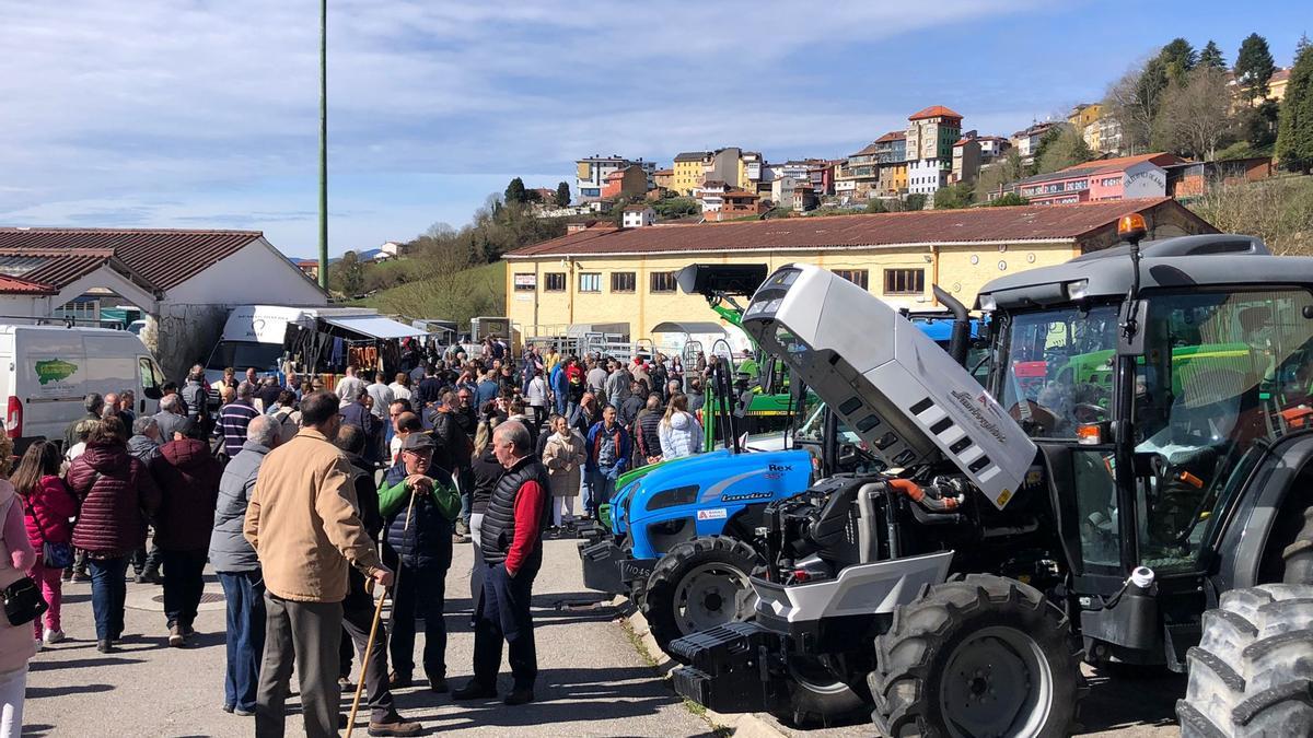 Tineo disfruta la feria ganadera de San José