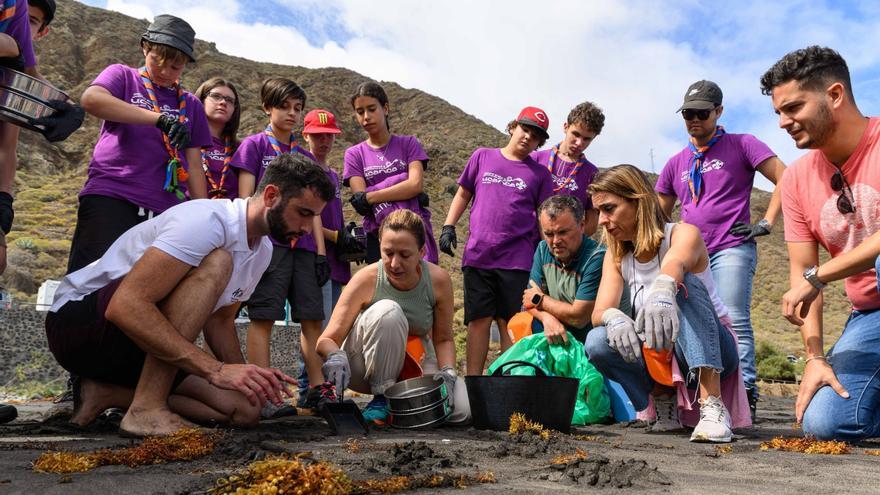 Limpieza masiva en las playas de Almáciga y Benijo: encuentran hasta una señal de tráfico