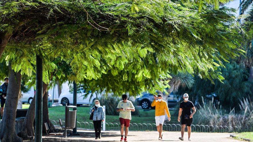 ‘Parques Activos’ aumenta sus actividades para realizar deporte con profesionales