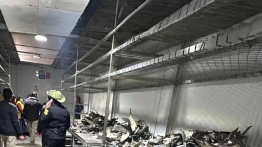 Parte del cargamento incautado. | Interpol