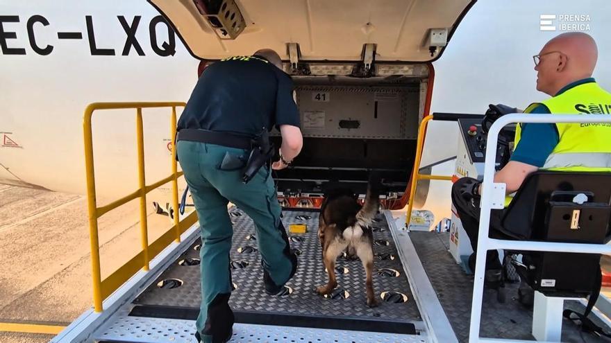 Así es el exhaustivo control de seguridad de la Guardia Civi