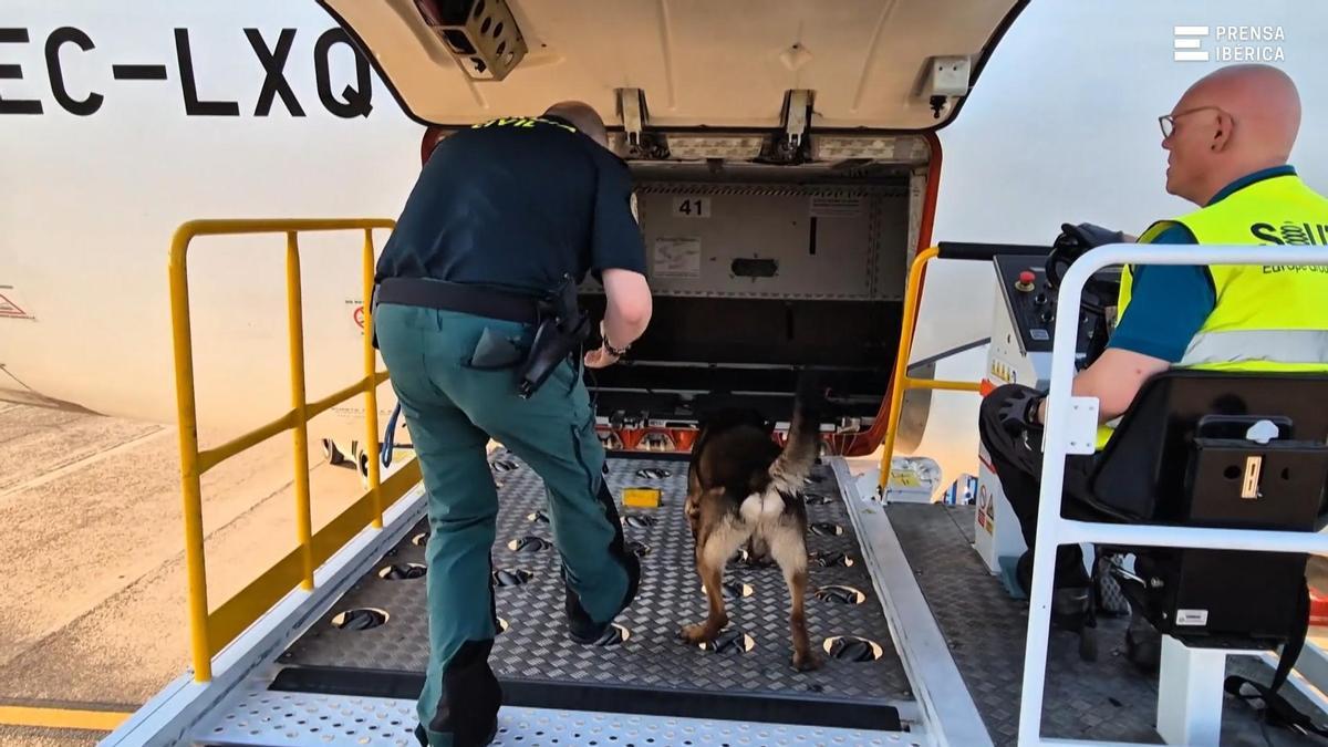 Así es el exhaustivo control de seguridad de la Guardia Civil al avión que ha llevado al papa a Barcelona