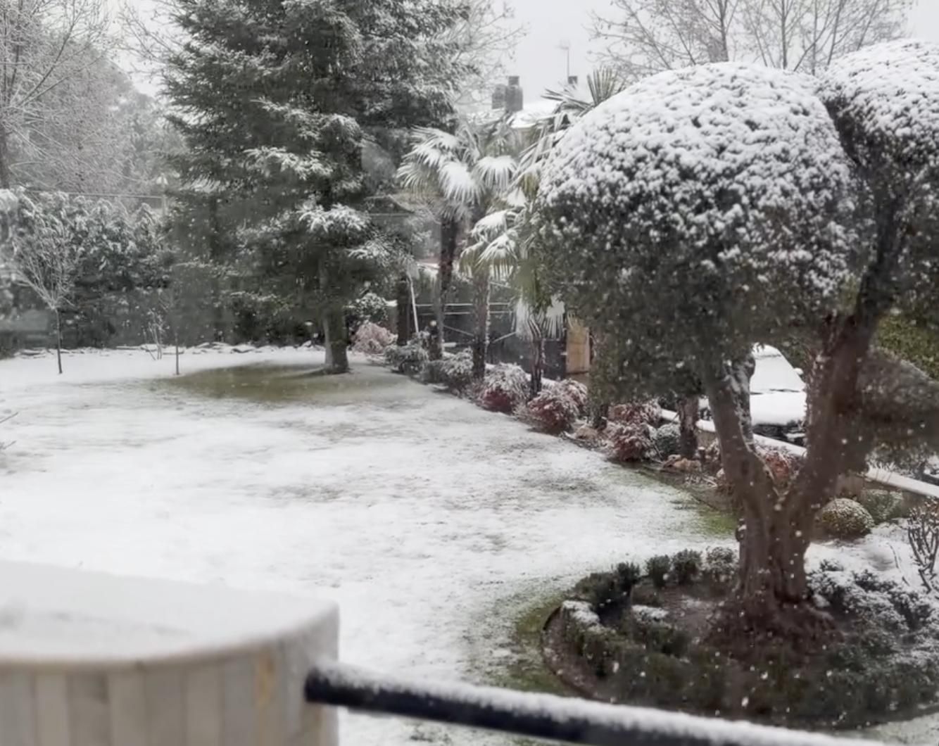 El jardín de la casa de David Summers, nevado