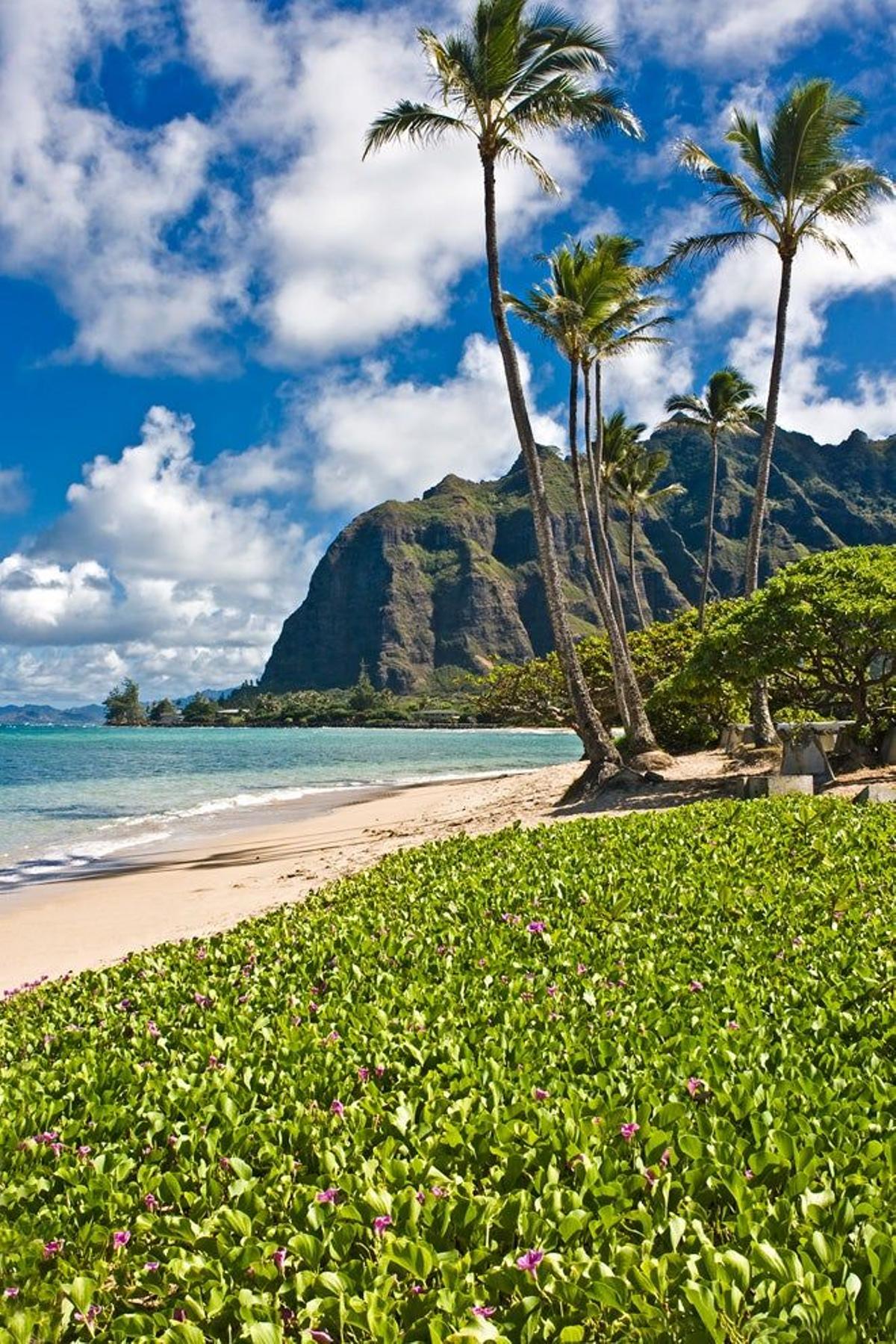 Playa de Oahu