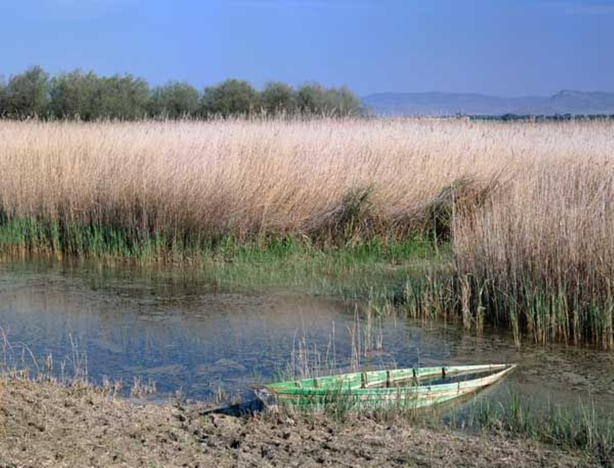 Tablas de Daimiel