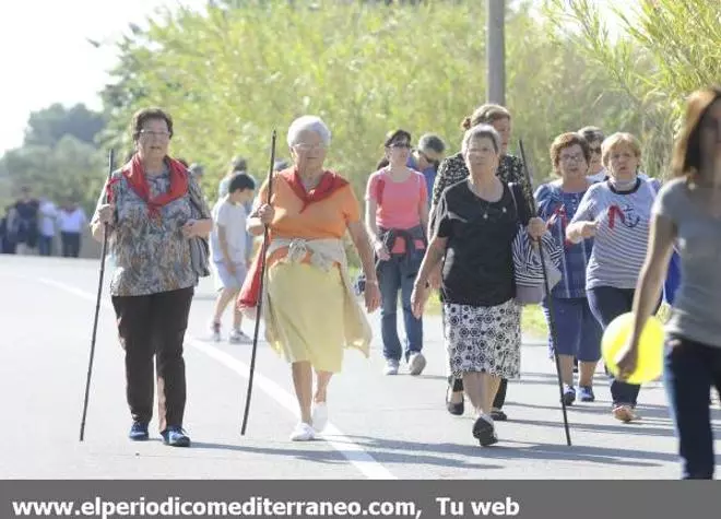 GALERÍA DE FOTOS - Romería en Almassora