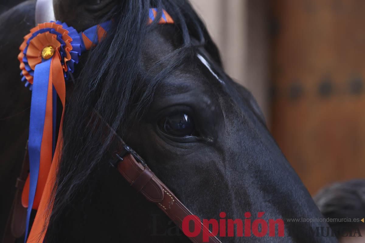 Concurso de caballo a pelo: pasacalles hasta el Hoyo en Caravaca