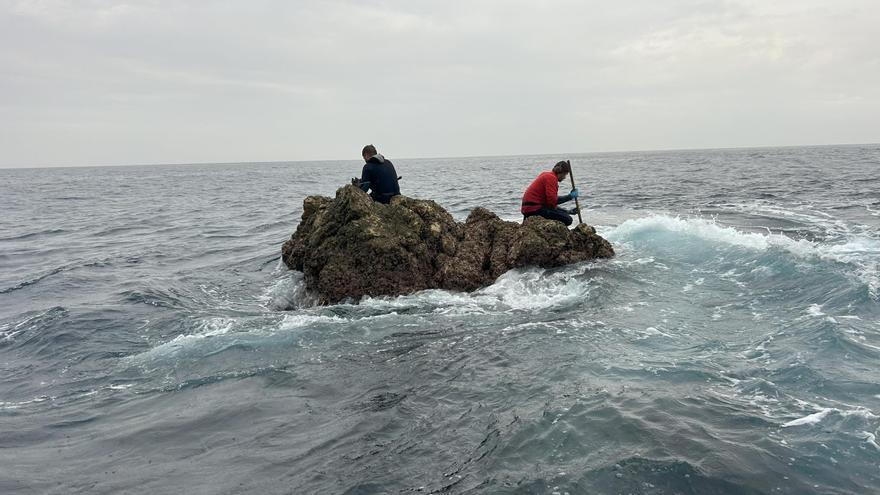 Pesca denuncia a dos furtivos que capturaron 5,6 kilos de percebe en el entorno del cabo Peñas