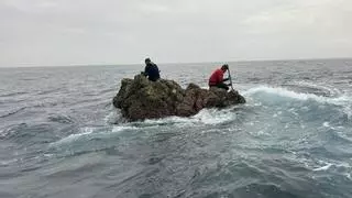 Pesca denuncia a dos furtivos que capturaron 5,6 kilos de percebe en el entorno del cabo Peñas