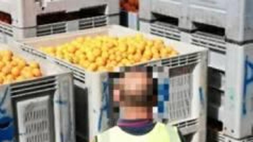 Detienen a tres personas por el robo de 5.000 kg de naranjas