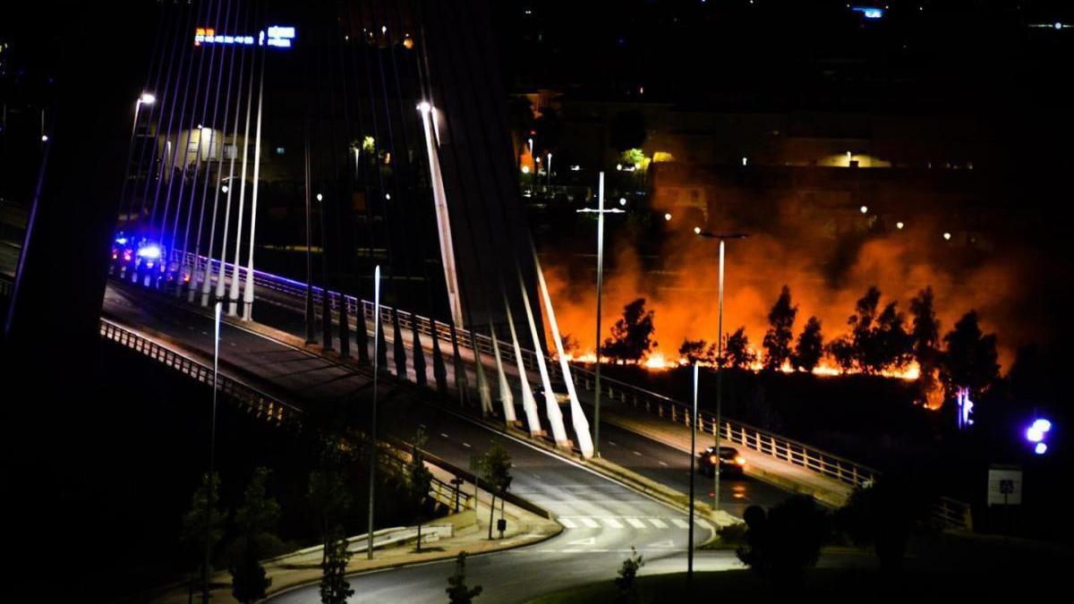 Los bomberos sofocan un incendio en una isla del Guadiana en Badajoz