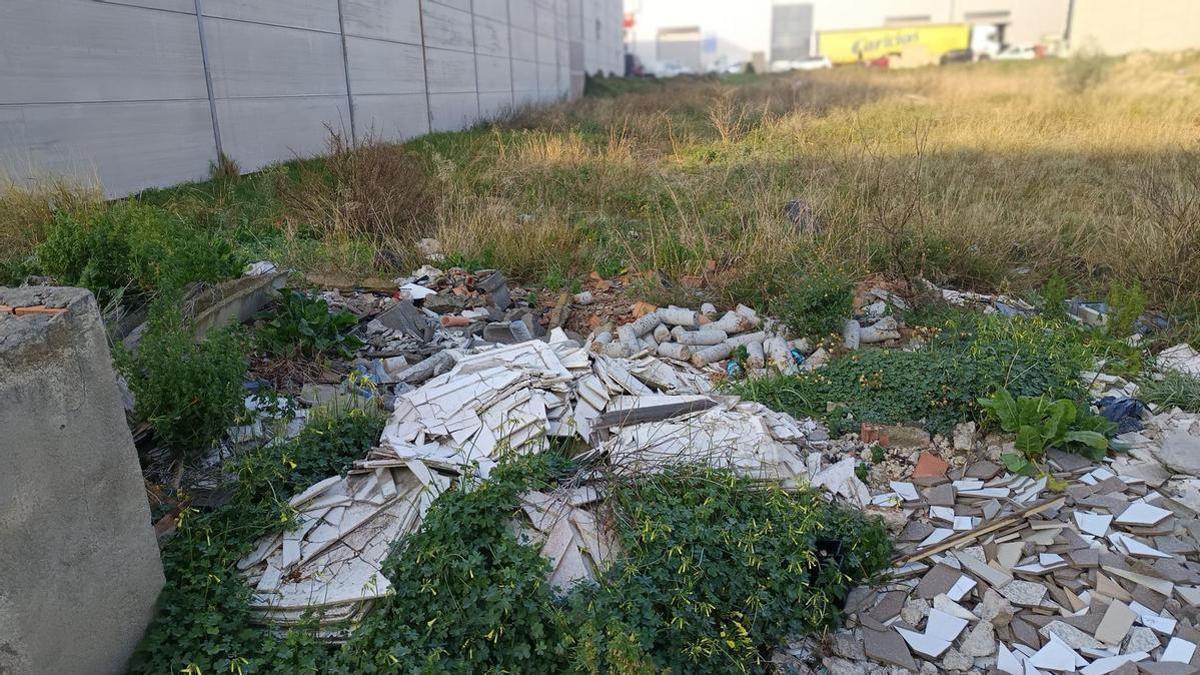 Empresarios del poligono la Plana de Almassora denuncian deficiencias y suciedad: las imágenes