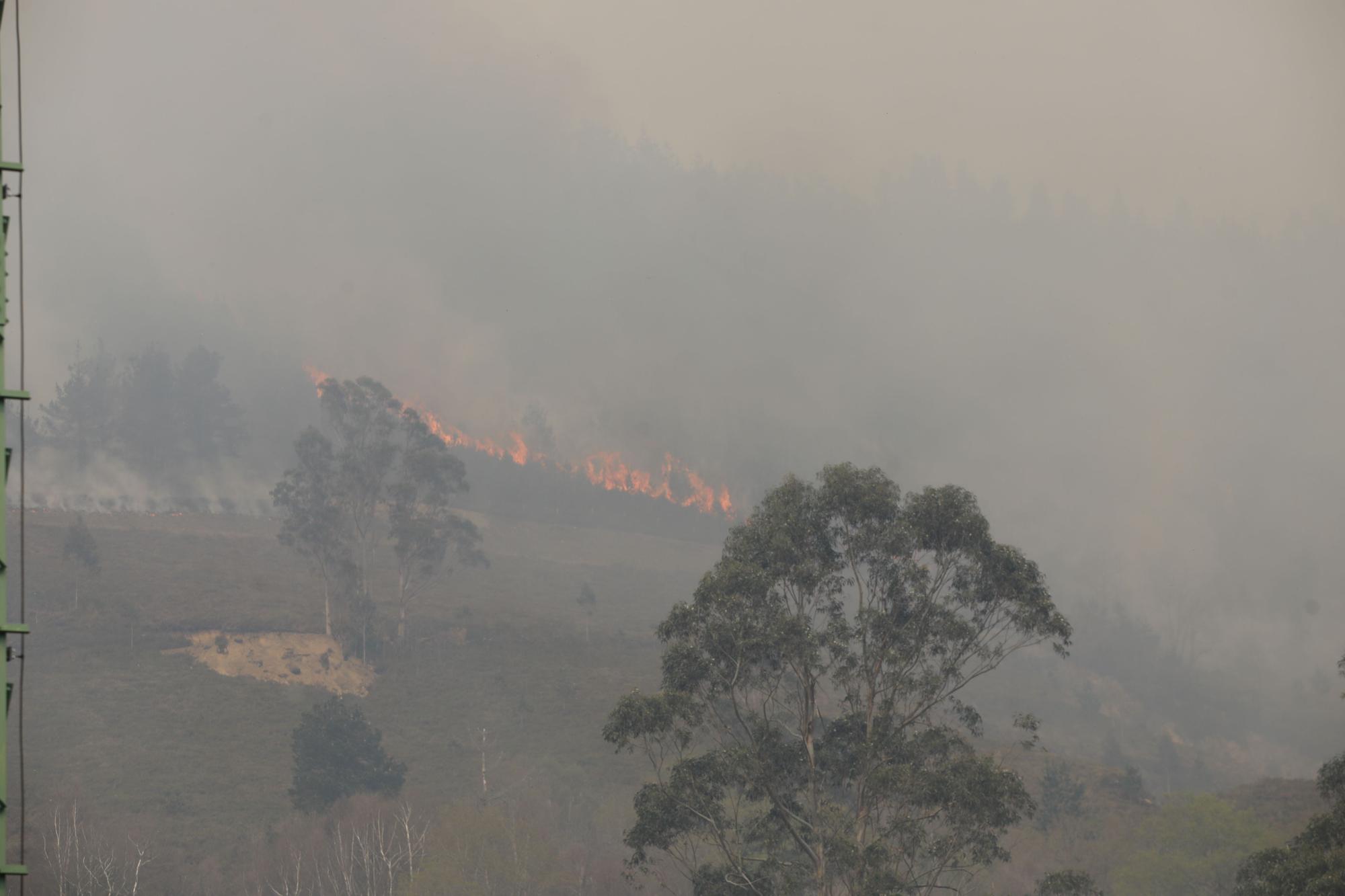 Incendio en la zona de Ques en Piloña