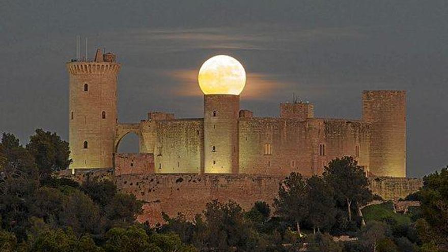 Wie bestellt: der Mond über dem Castell Bellver in Palma.