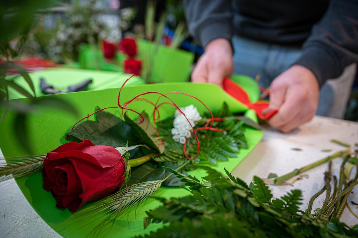 Un florista preparando una rosa para ser vendida en Sant Jordi.