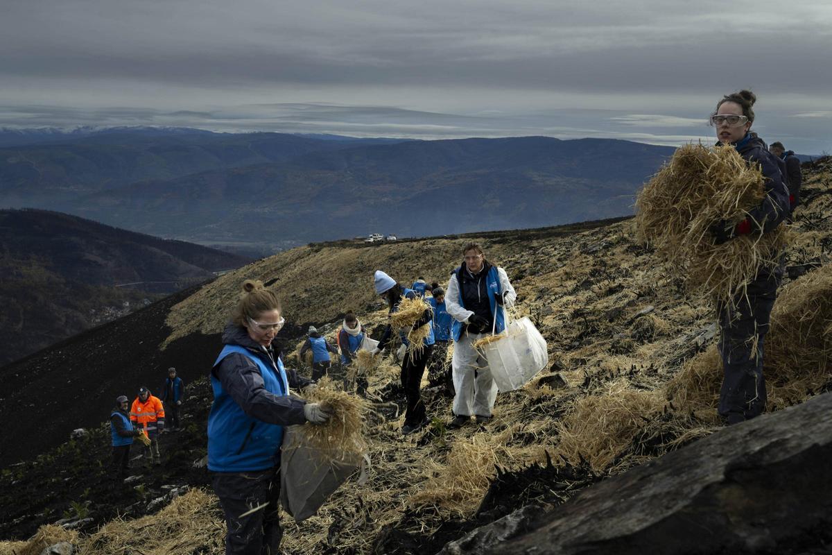 Voluntarios de distintas partes de Galicia cooperaron en la iniciativa de este sábado en Vilamartín.