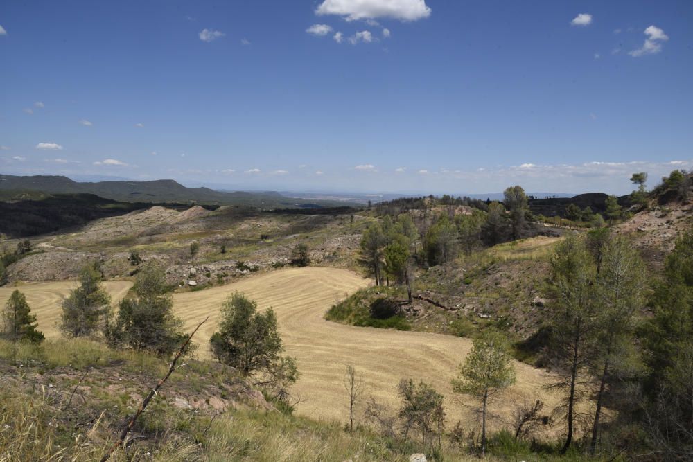 La zona afectada pel foc d'Òdena, un any després