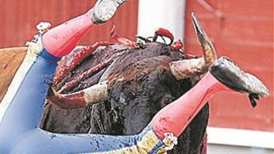 El torero Román, intervenido tras una cornada de 30 centímetros
