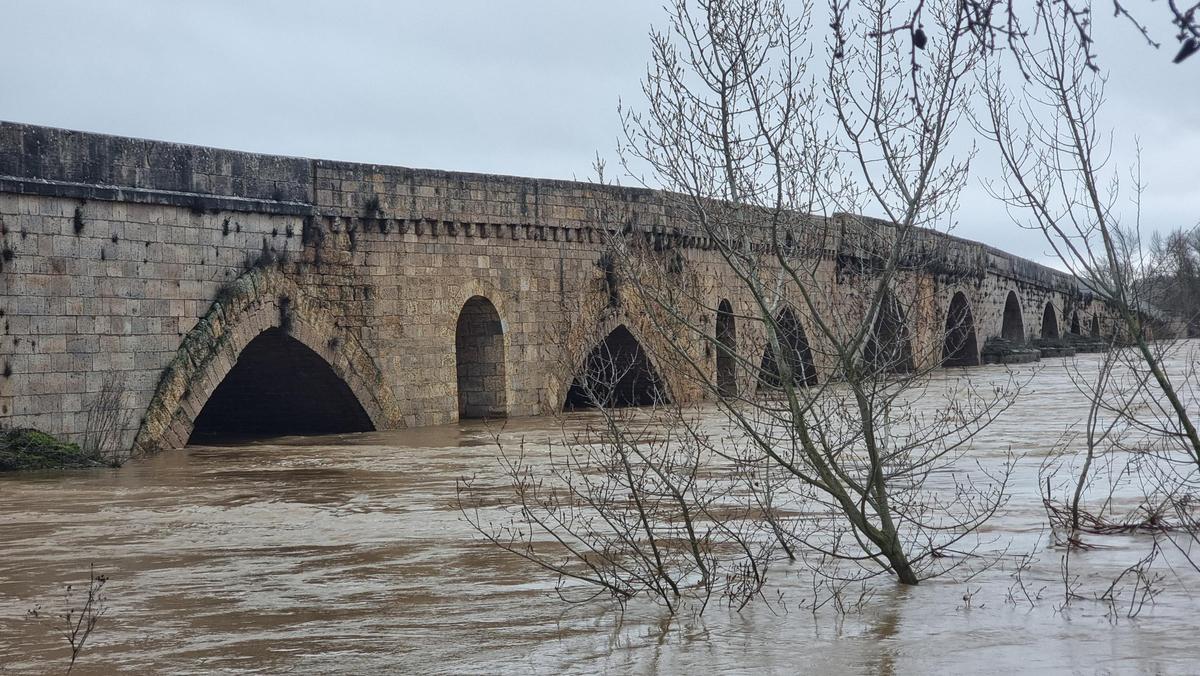 GALERÍA | La crecida del río Duero anega algunas zonas de Toro