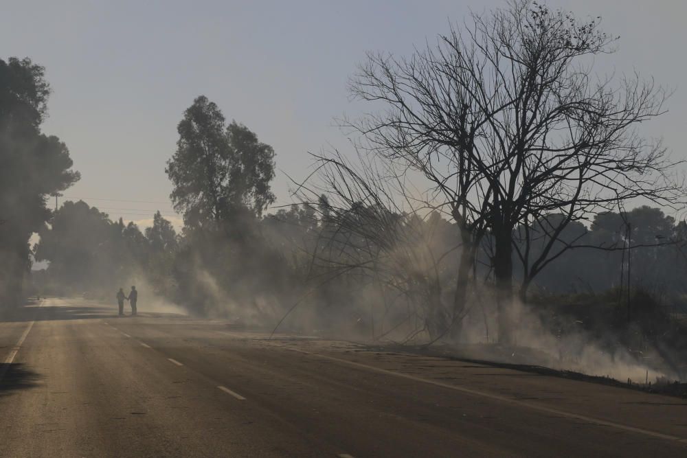 Incendio en el marjal de Gandia