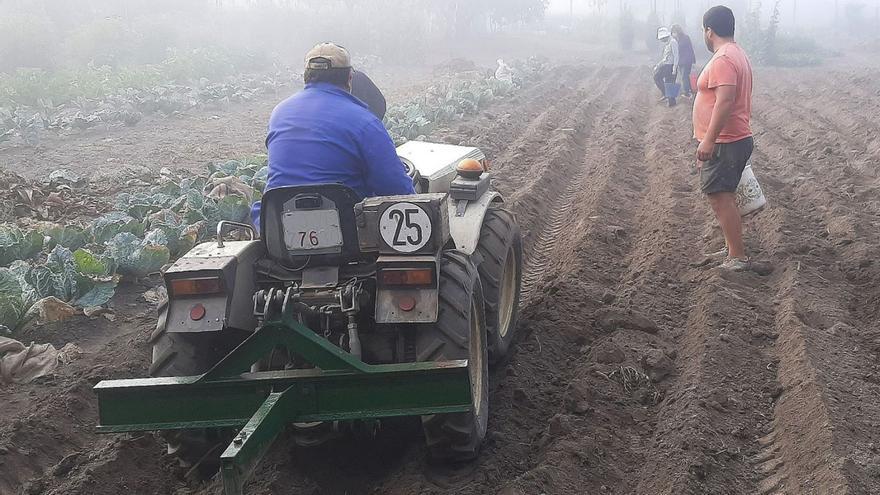 Agricultores en la cosecha de la patata, en Ourense, en imagen de archivo. |  Iñaki Osorio