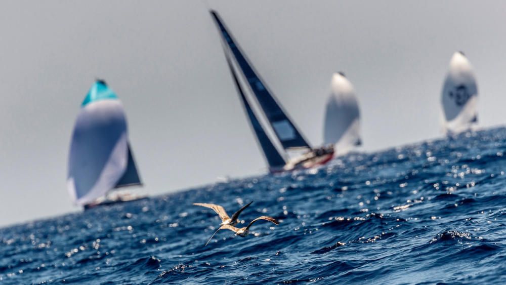 Tercer día de la Copa del Rey de vela