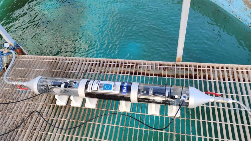 Fabrican un biosensor para medir la contaminación del agua en tiempo real